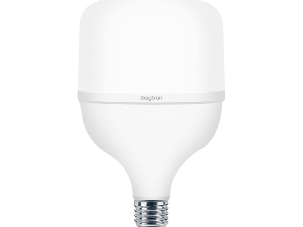 Braytron ADVANCE LED sijalica, 6500K, 30W E27 T100