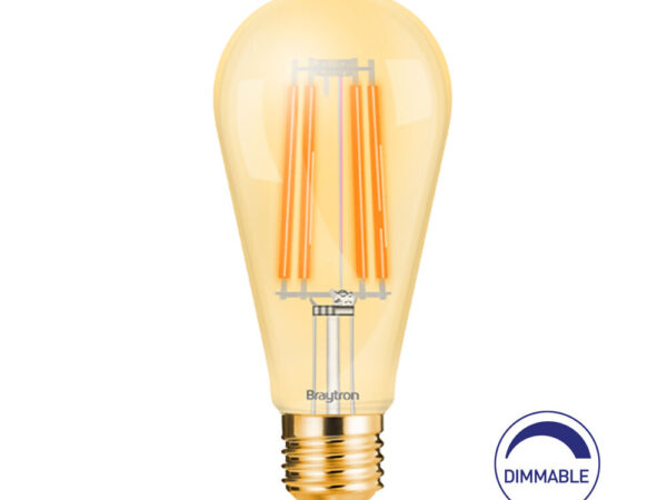Braytron ADVANCE LED sijalica dimabilna, 2200K, 6W E27 ST64