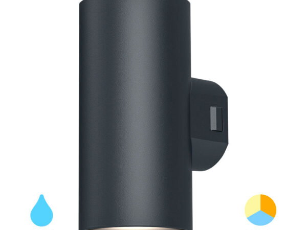 Braytron Vekta spoljašnja LED zidna svjetiljka, 2x9W, siva, IP65