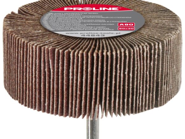 Proline Brusni disk